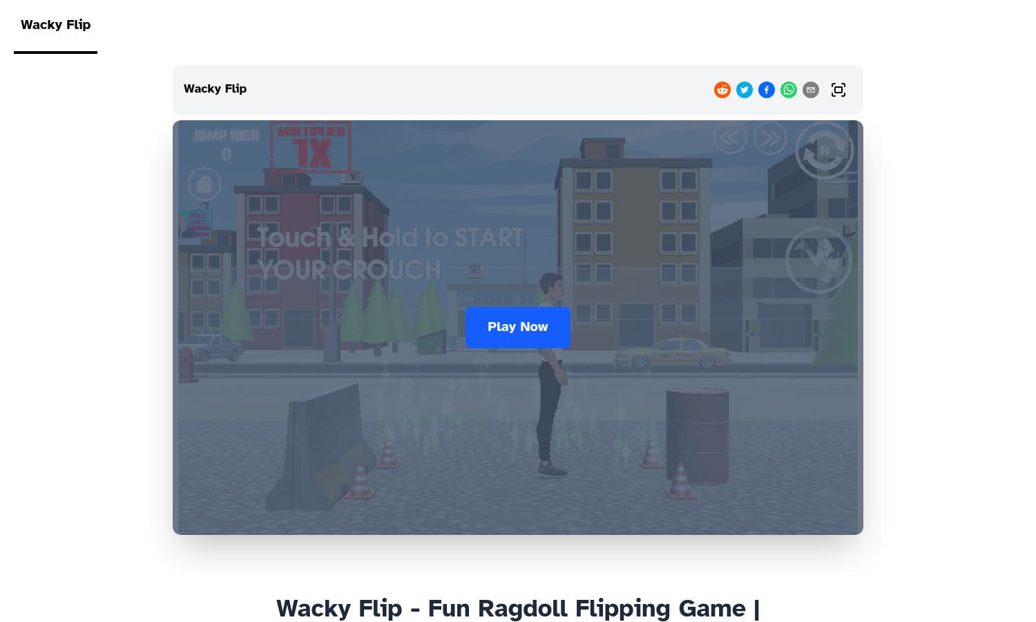 Wacky Flip Website
